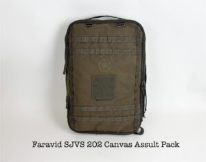 SJVSAP00000100VN