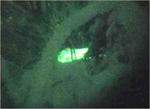 NVG detecting shelter