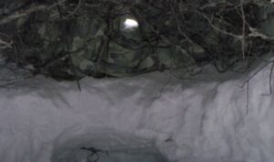 image6