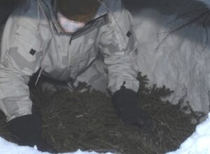 granris i botten på snöskydd 