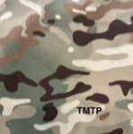 TMTP